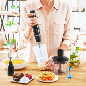 BRAS MIXEUR MOULINEX 4EN1 1000W NOIR